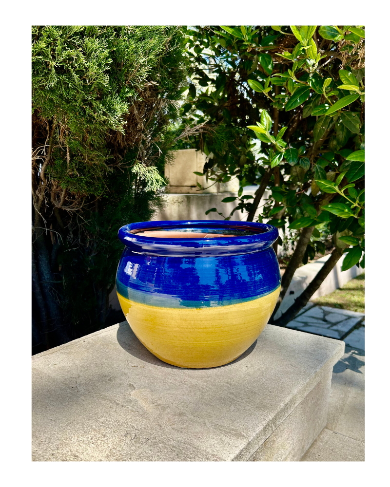 BOLDO Bleu-Jaune Vernis 25 cm en extérieur