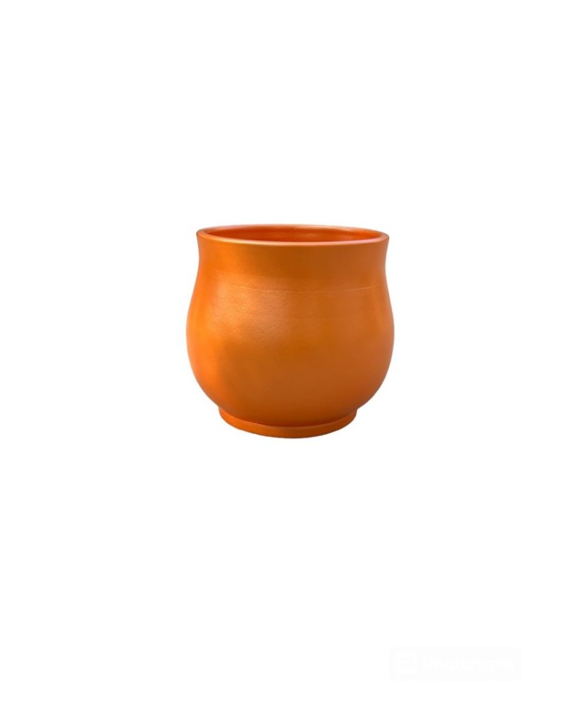 Orchidea  orange